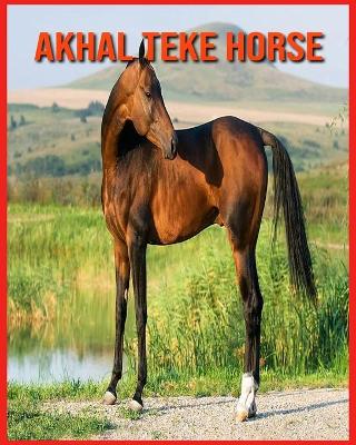 Book cover for Akhal Teke Horse