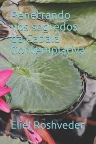 Cover of Penetrando nos segredos da Cabala Contemplativa