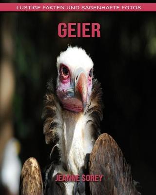 Book cover for Geier