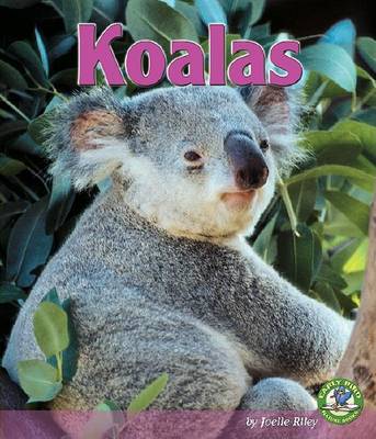 Book cover for Koalas