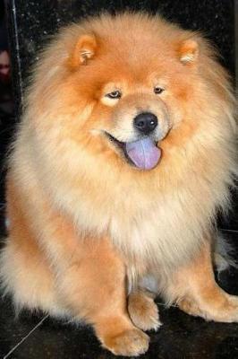 Book cover for Super Fluffy Chow Chow Dog Journal