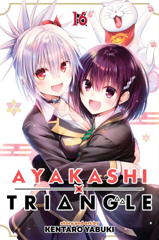 Cover of Ayakashi Triangle Vol. 16