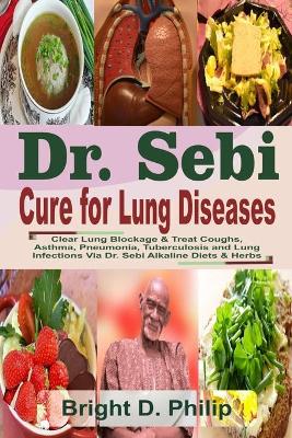 Book cover for Dr. Sebi Cure for Lungs Diseases