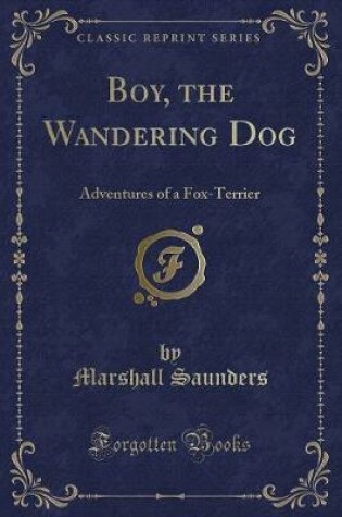 Cover of Boy, the Wandering Dog