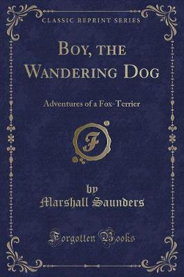 Book cover for Boy, the Wandering Dog