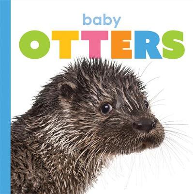 Book cover for Baby Otters