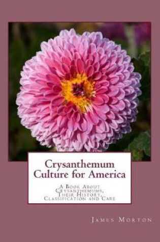 Cover of Crysanthemum Culture for America