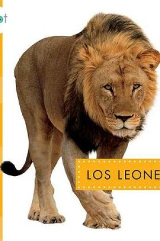 Cover of Los Leones
