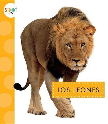 Book cover for Los Leones