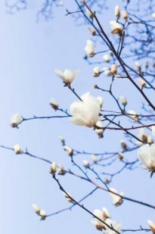 Cover of Delicate White Blossoms on a Flowering Tree in Springtime Journal