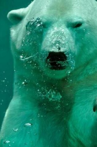 Cover of Polar Bear Underwater