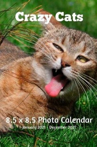 Cover of Crazy Cats 8.5 X 8.5 Calendar January 2021 -December 2021