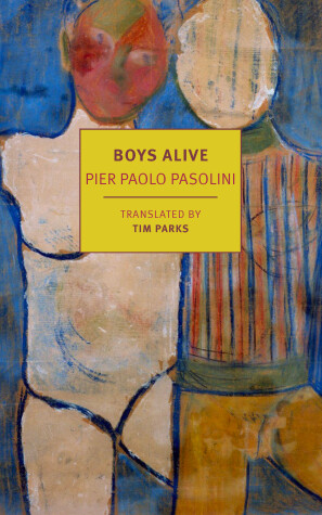 Book cover for Boys Alive