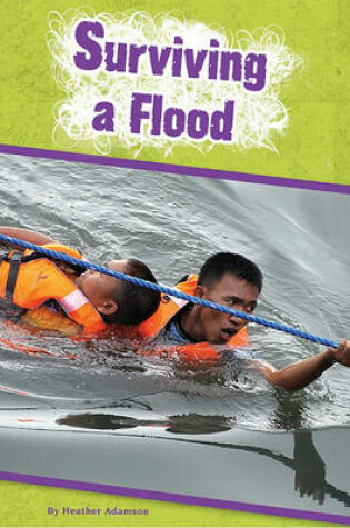 Cover of Surviving a Flood