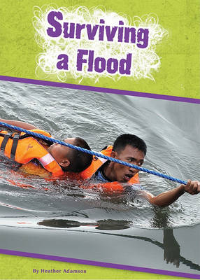 Book cover for Surviving a Flood