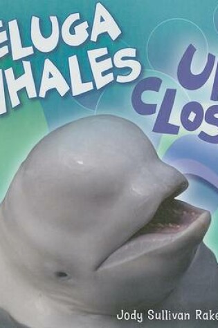 Cover of Beluga Whales Up Close