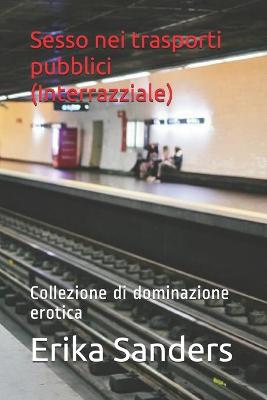 Book cover for Sesso nei trasporti pubblici (Interrazziale)