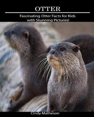 Book cover for Otter