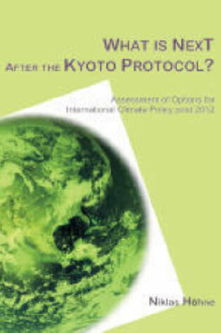 Cover of What is Next After the Kyoto Protocol?