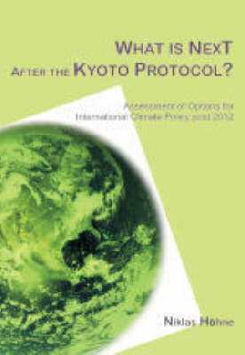 Book cover for What is Next After the Kyoto Protocol?