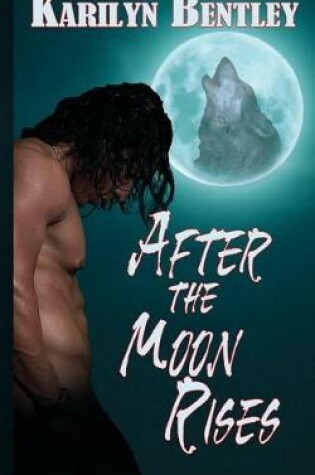 Cover of After the Moon Rises