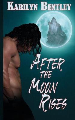 Book cover for After the Moon Rises