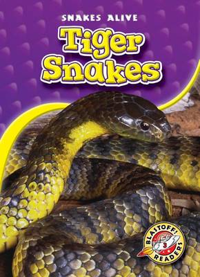 Book cover for Tiger Snakes