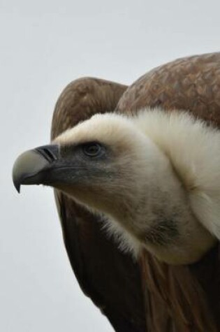 Cover of A Vulture Portrait Journal