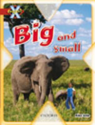 Book cover for Project X: Big and Small: Big and Small