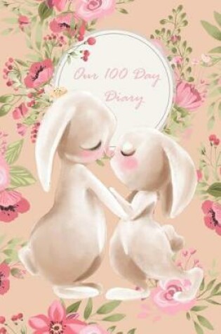 Cover of Our 100 Day Diary