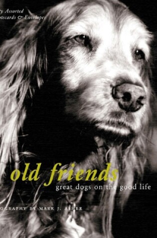 Cover of Old Friends Notecards