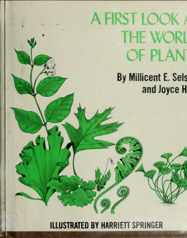 Book cover for A First Look at the World of Plants