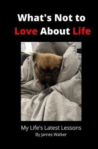 Cover of What's Not to Love About Life