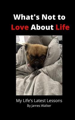 Book cover for What's Not to Love About Life