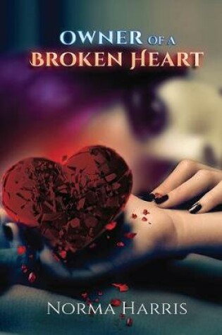 Cover of Owner of a Broken Heart