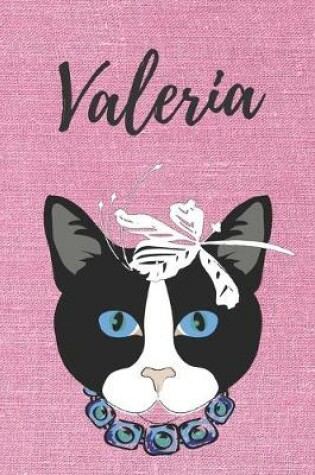 Cover of Valeria Katzen-Malbuch / Notizbuch Tagebuch