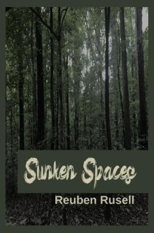 Cover of Sunken Spaces