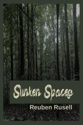 Cover of Sunken Spaces