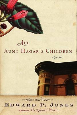 Book cover for All Aunt Hagar's Children