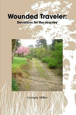 Book cover for Wounded Traveler: Devotions for the Journey