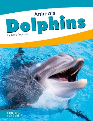 Book cover for Animals: Dolphins