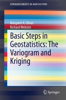 Book cover for Basic Steps in Geostatistics: The Variogram and Kriging