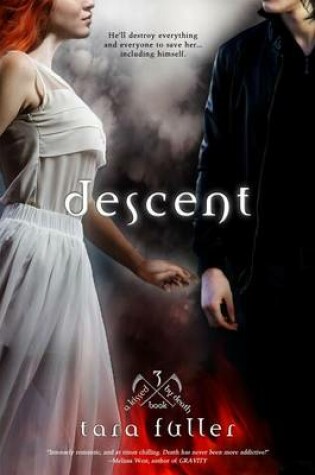 Cover of Descent