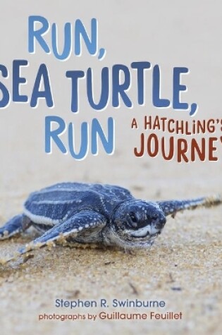 Cover of Run, Sea Turtle, Run