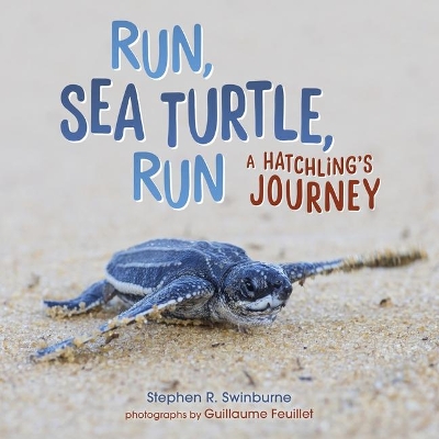 Book cover for Run, Sea Turtle, Run