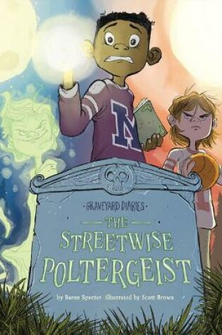 Cover of The Streetwise Poltergeist: Book 13