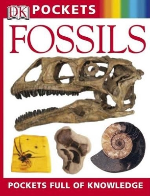 Book cover for Pocket Guides: Fossils