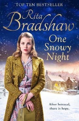 Book cover for One Snowy Night