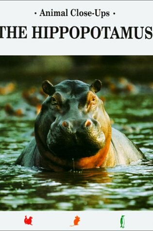 Cover of Hippopotamus, River Horse