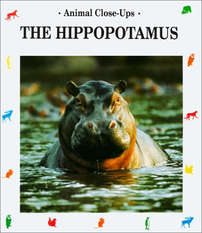 Book cover for Hippopotamus, River Horse